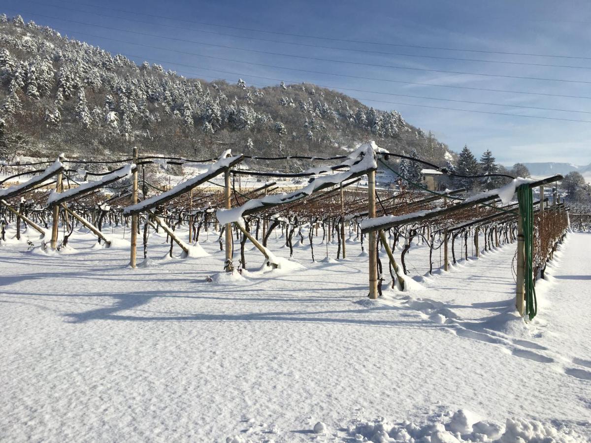 Marina “la Casa In Collina” Bed & Breakfast